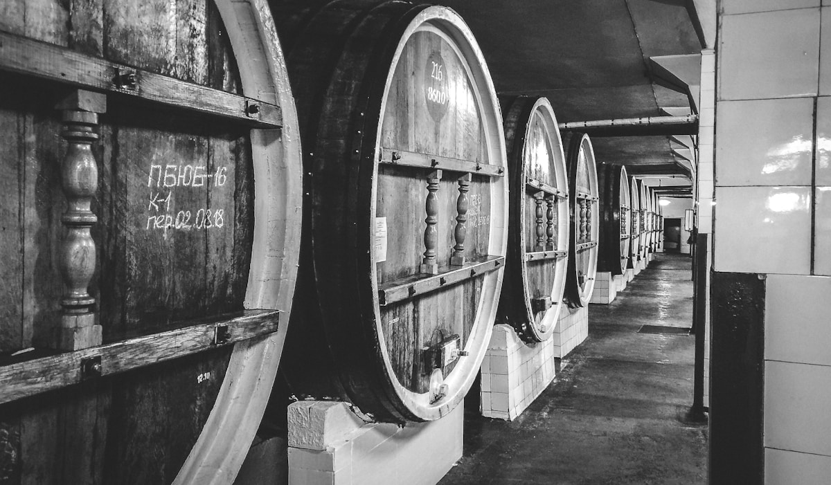 Rangée de tonneaux de vin dans un cellier sombre et vieillot.