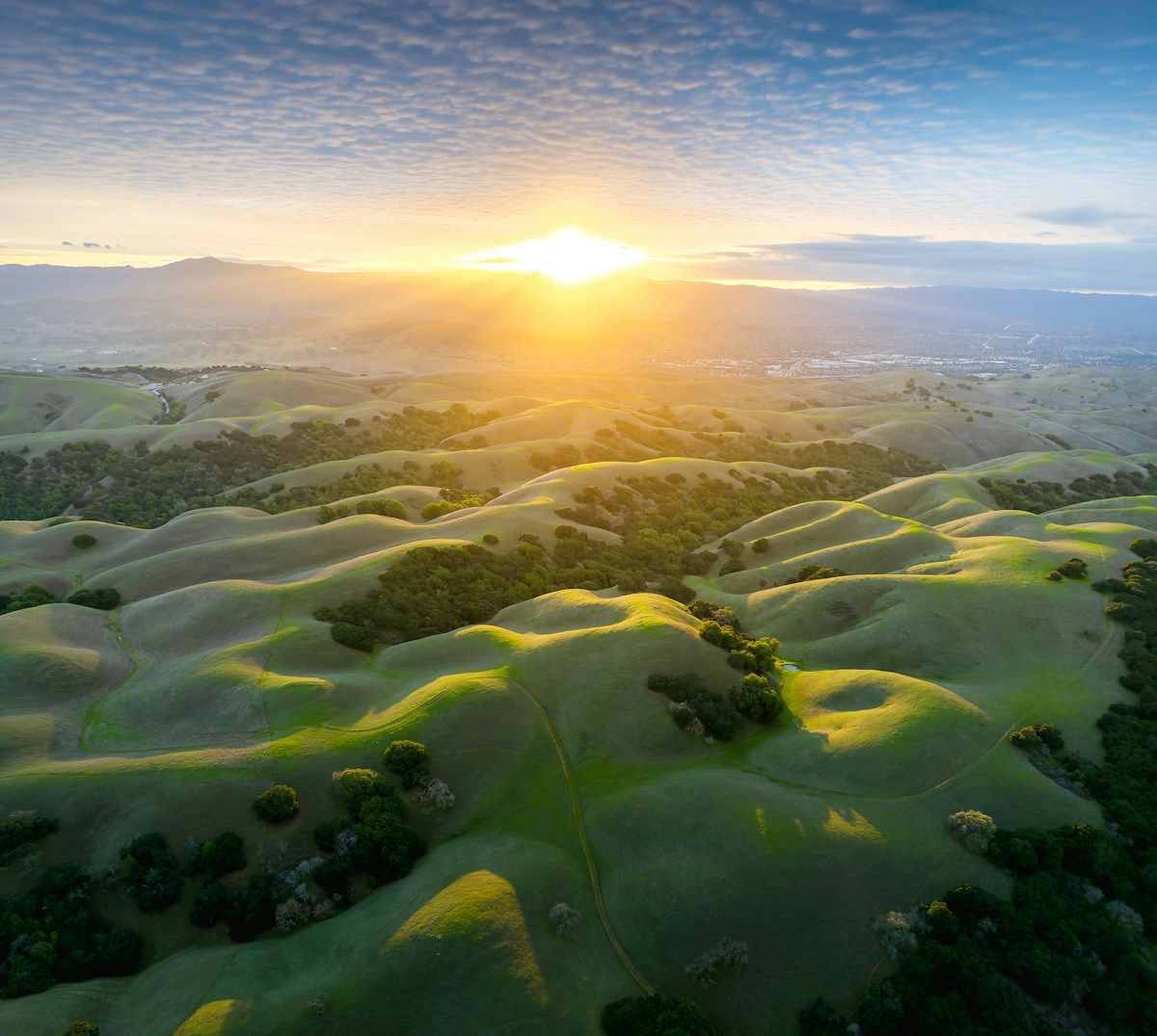 Paysage de collines verdoyantes au coucher de soleil.