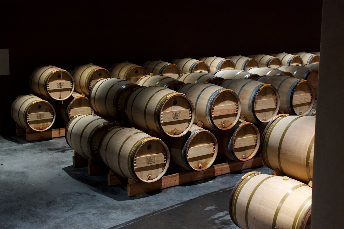 Rangée de fûts de vin en bois dans un cellier sombre.