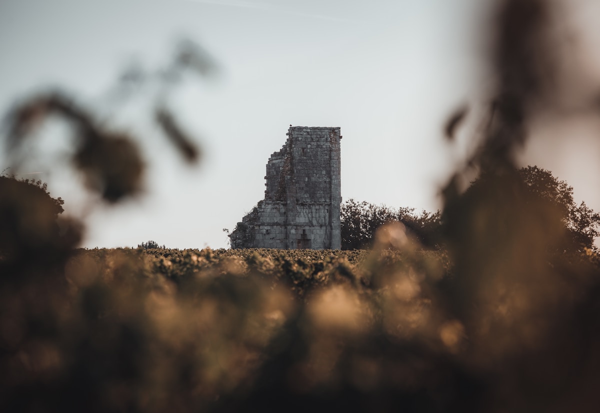 Ruine de pierre solitaire dans un paysage automnal.