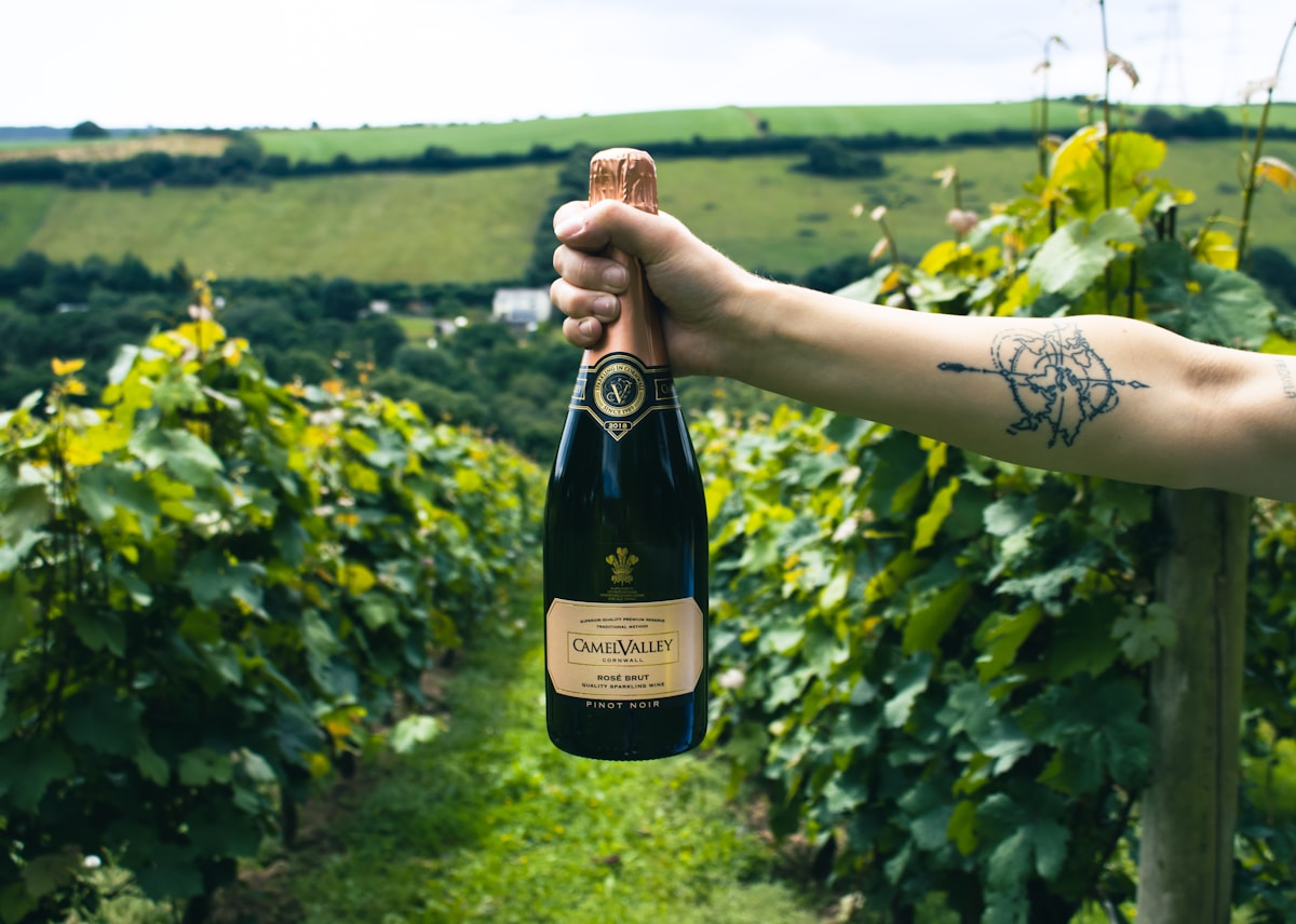 Bouteille de vin mousseux Camel Valley dans un vignoble verdoyant.