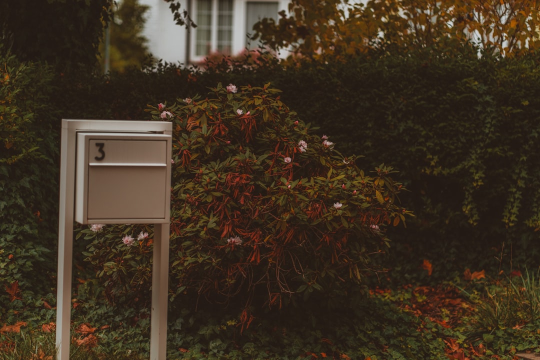 fabricant boîtes aux lettres bruxelles - A modern mailbox stands in front of lush greenery.