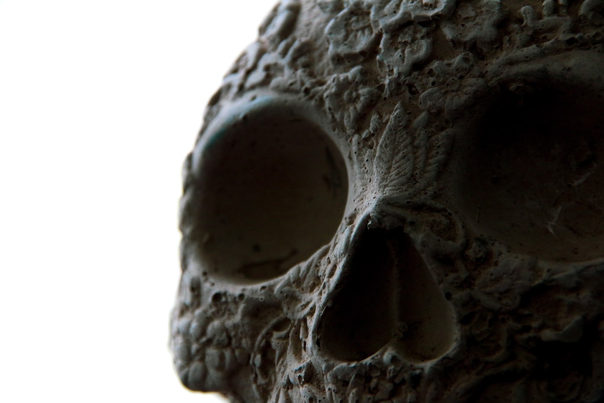 a close-up of a rock