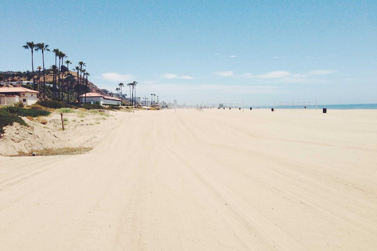 Expansive sandy beach, palm trees, and distant buildings.