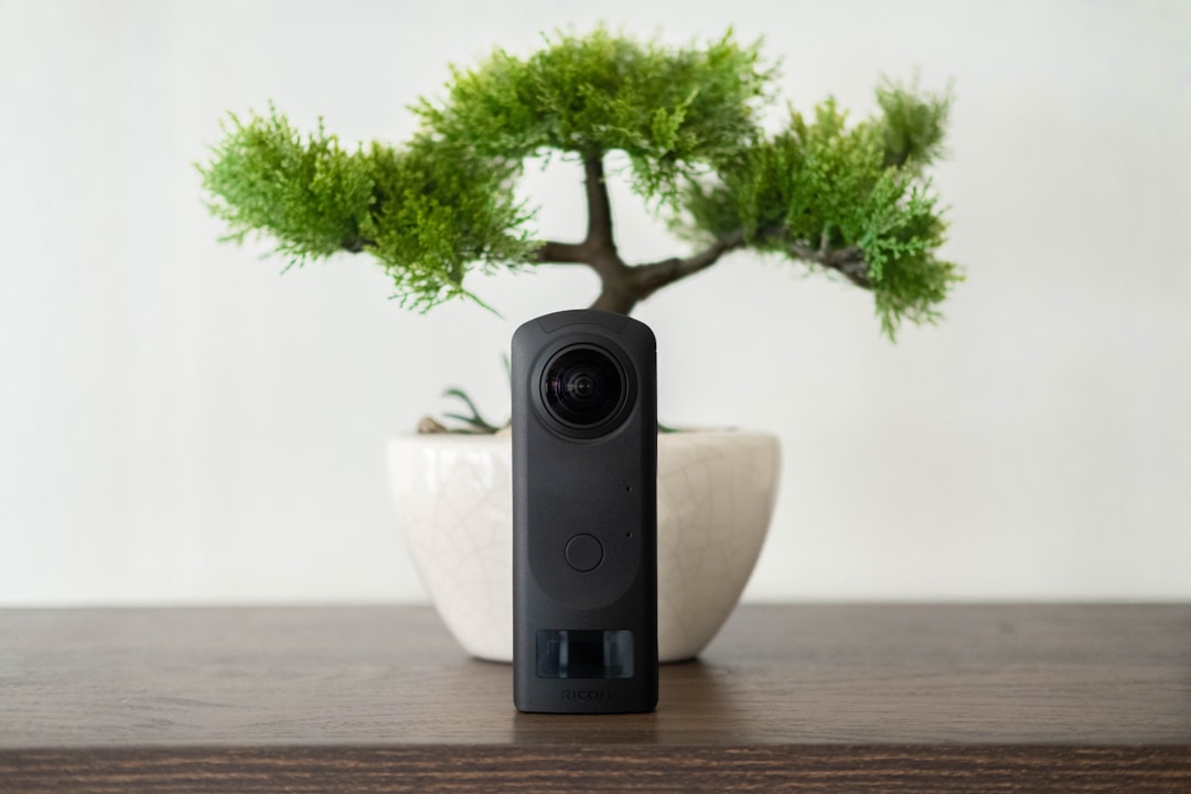 ricoh theta z1 vs insta360 x4 - a tree in a pot