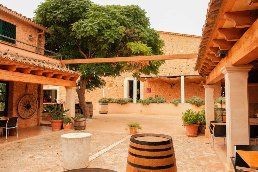 Cour d'un bâtiment rustique avec un grand arbre.