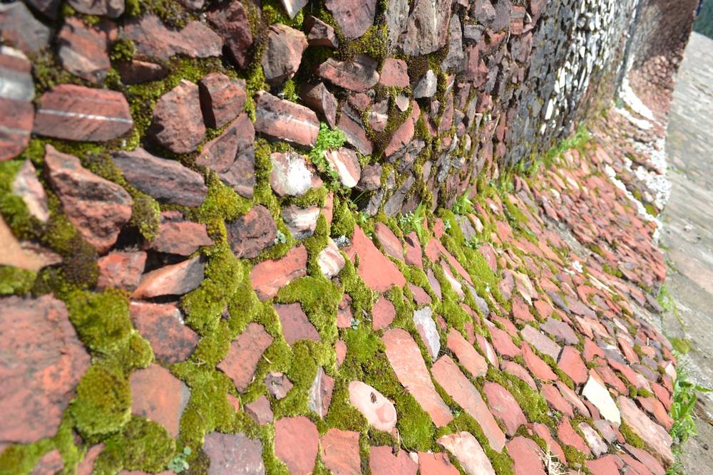 Un mur de briques recouvert de mousse.