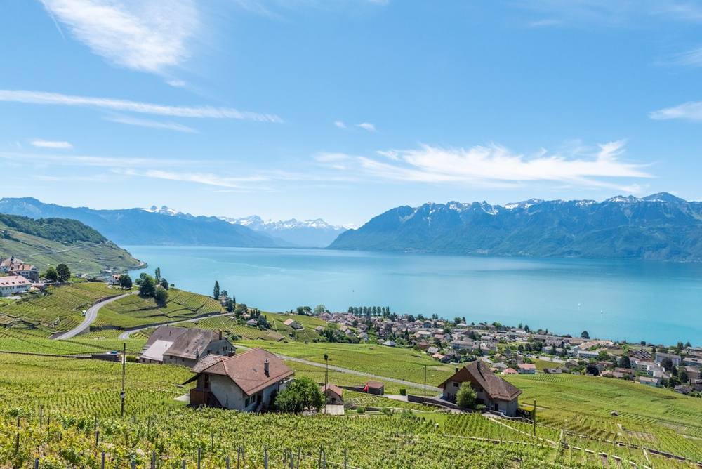 Paysage montagneux avec vignobles en terrasses, lac et village au bord de l'eau.
