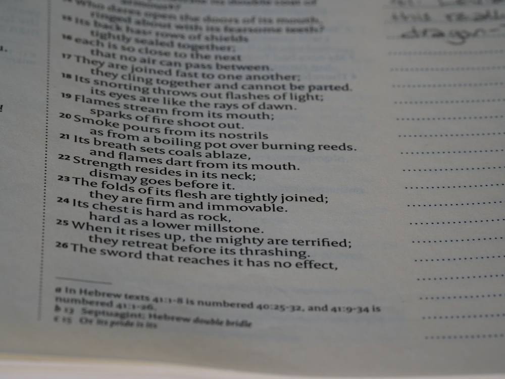 Texte descriptif d'une créature mythique, avec des détails vivants et poétiques.