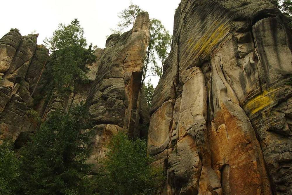 Hautes formations rocheuses avec des arbres poussant entre elles.