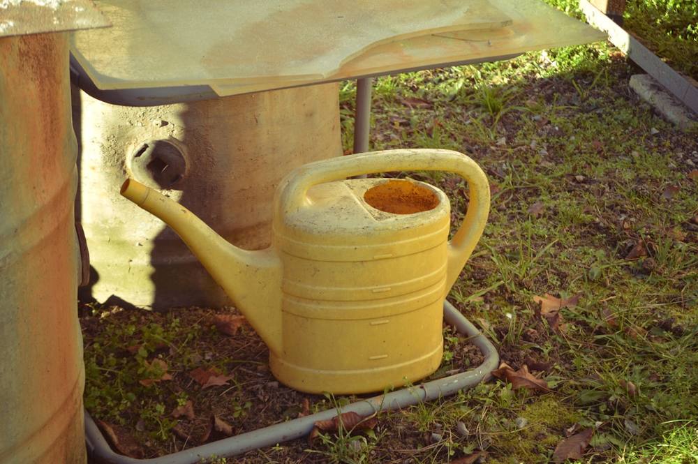 Un arrosoir jaune posé sur l'herbe.