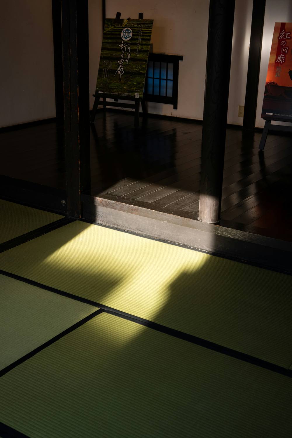 Gros plan sur le processus d'installation de parquet de haute qualité.